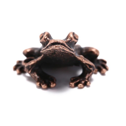 Supporto per incensi rana