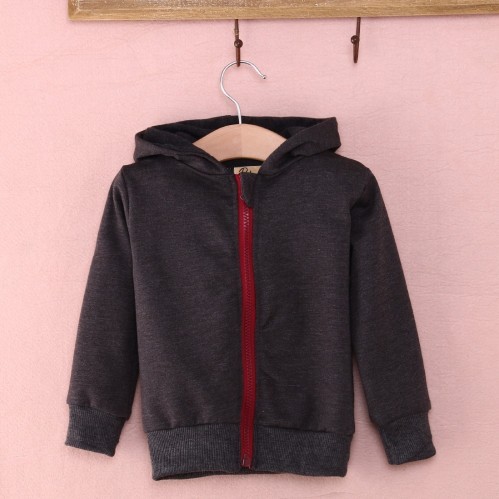 Sweatshirt Infantil - Dinossauro - Cinza Escuro