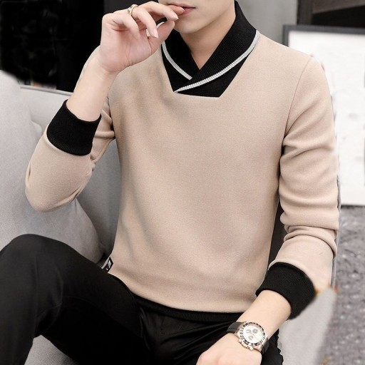 Sweter męski F281