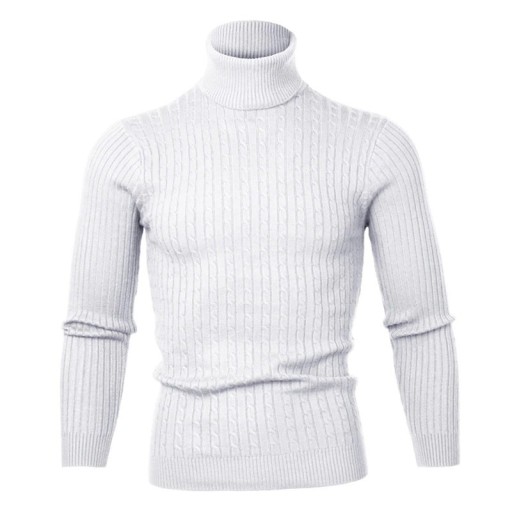Sweter męski z golfem F169
