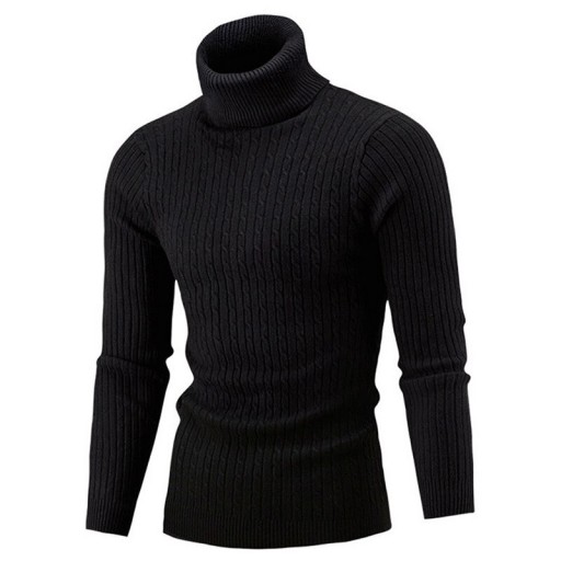 Sweter męski z golfem F169