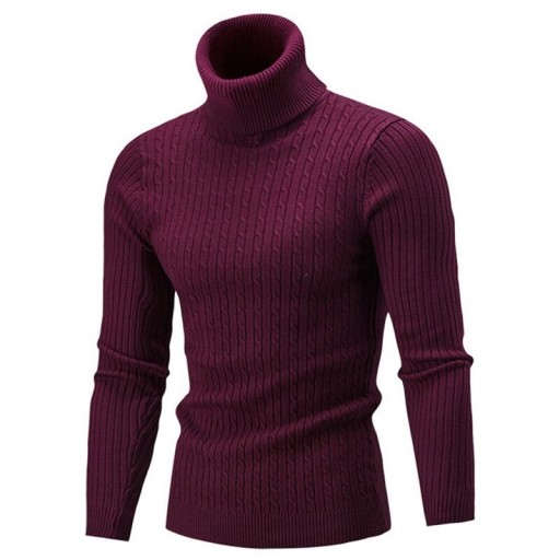 Sweter męski z golfem F169