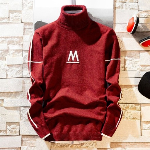 Sweter męski z golfem F179