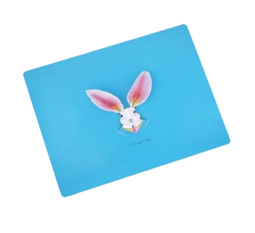 Tapis de souris K2531