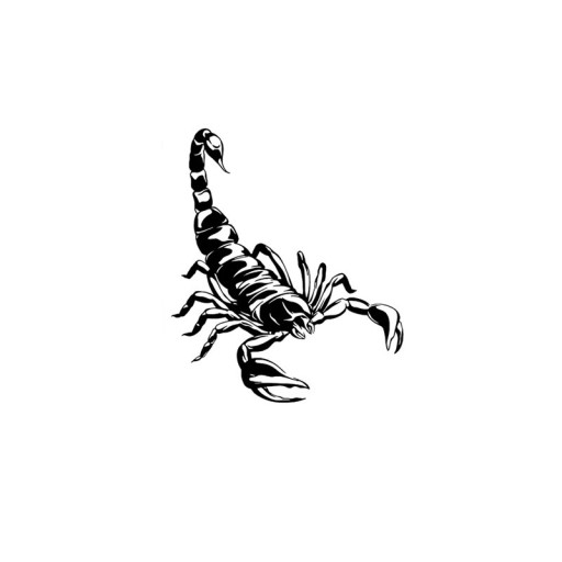Temporäres wasserfestes Tattoo Skorpion 10 x 8 cm Fake Body Tattoo Skorpion Tattoo 15 Tage haltbares temporäres Tattoo