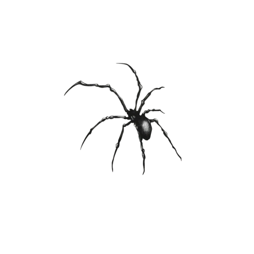 Temporäres wasserfestes Tattoo Spinne 12x12cm Fake Body Tattoo Spinnentattoo für Arm oder Bein Stylisches temporäres Tattoo für 15 Tage
