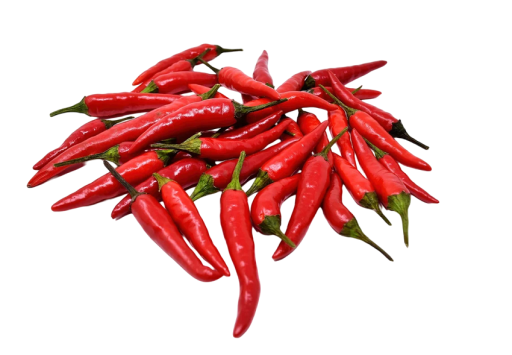 Thai Dragon csípős paprika magvak 30 db Chili paprika magok Könnyen termeszthető