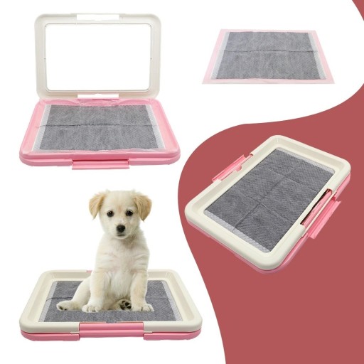 Toilette pour chien