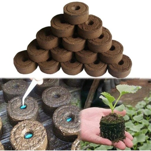 Tørvepiller til frøplanter