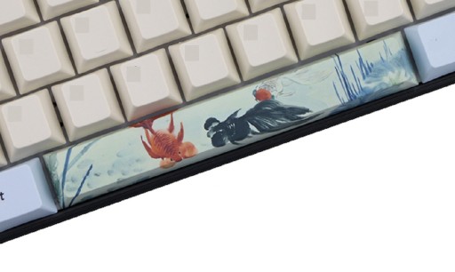 Touche de barre d'espace interchangeable avec impression de nature
