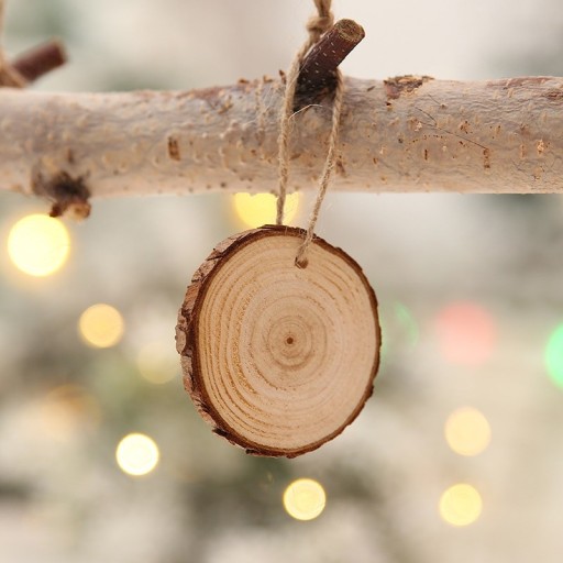 Tranches de bois décoratives 10 pcs