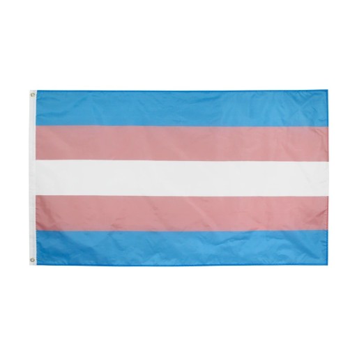 Transgender-Flagge 60 x 90 cm