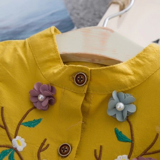 Tyttöjen mekko N259