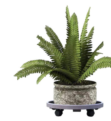 Universeller runder Rollteller 23–26 cm Kunststoff beweglicher Blumentopfständer Robust mit Bremsrollen zur Sicherung