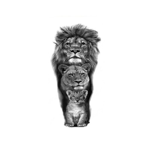 Vandtæt midlertidig tatovering 21 x 11,4 cm Løvefamilie Dyremotiv Nem påføring Holdbar tatovering Kongeligt design Symbol på styrke og beskyttelse