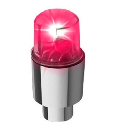 Vanneaux lumineux 2 pcs