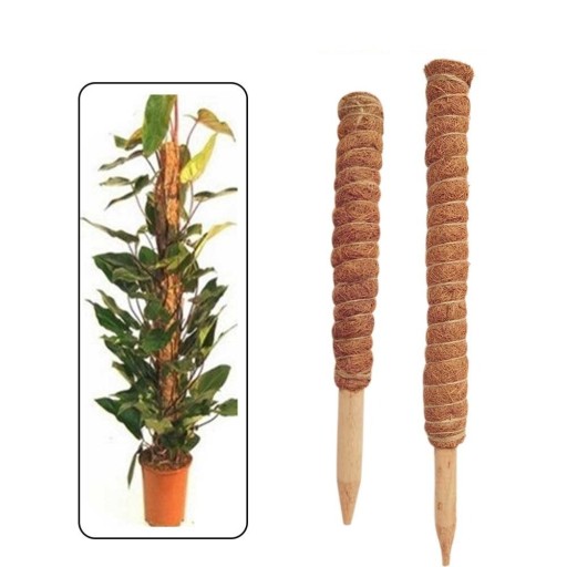 Varão de apoio em coco para plantas trepadeiras