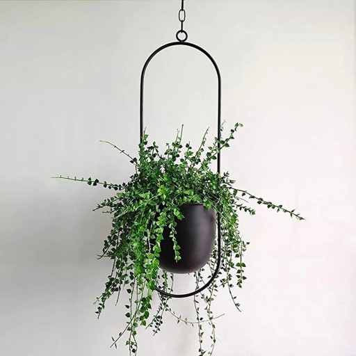 Vase suspendu ovale