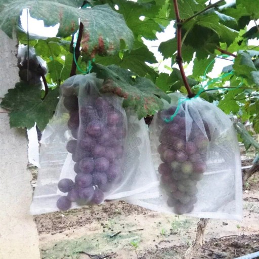 Védőháló szőlőhöz 50 db