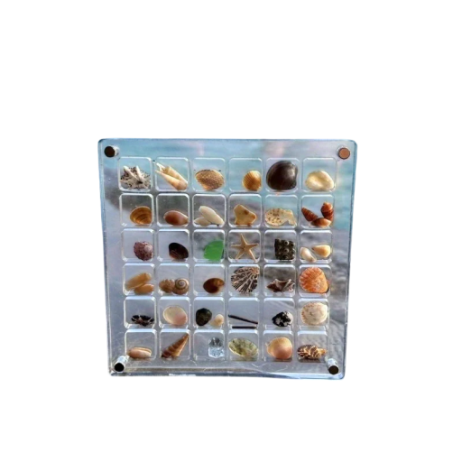 Vetrina quadrata trasparente con 36 scomparti Mini cornice decorativa per collezione di oggetti piccoli Scatola espositiva organizzatore di collezioni