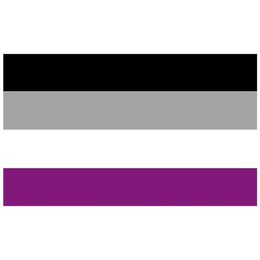 Vlajka asexuální hrdosti 90 x 150 cm