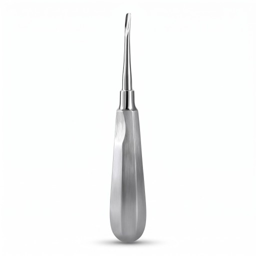 Wiertło dentystyczne (dźwignia ekstrakcyjna) z zakrzywionym końcem 4 mm ze stali nierdzewnej, srebrne – narzędzie chirurgiczne do ekstrakcji zębów