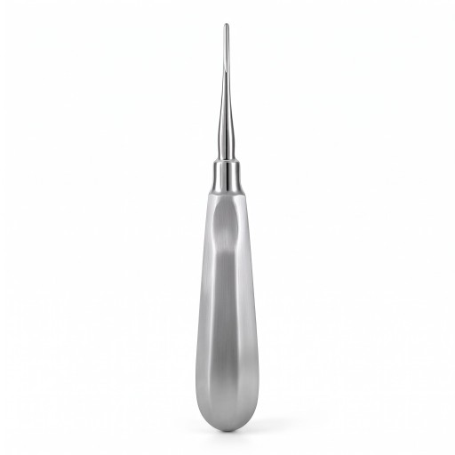 Wiertło dentystyczne i dźwignia z prostym końcem 3 mm ze stali nierdzewnej, srebrne, chirurgiczne narzędzie dentystyczne do ekstrakcji zębów w stomatologii