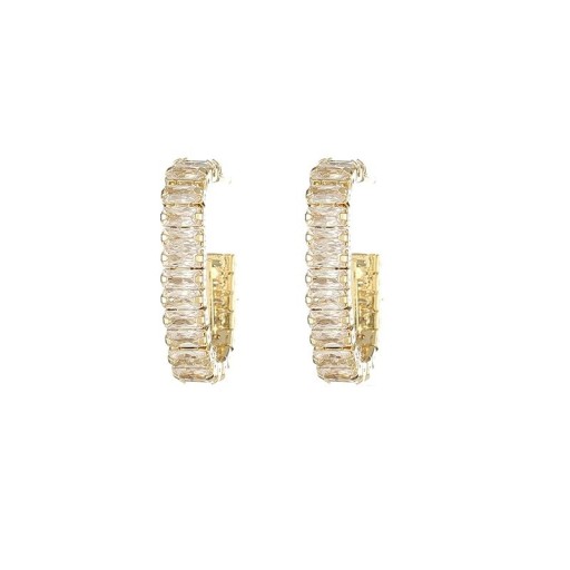 Women's Hoop Earrings G552