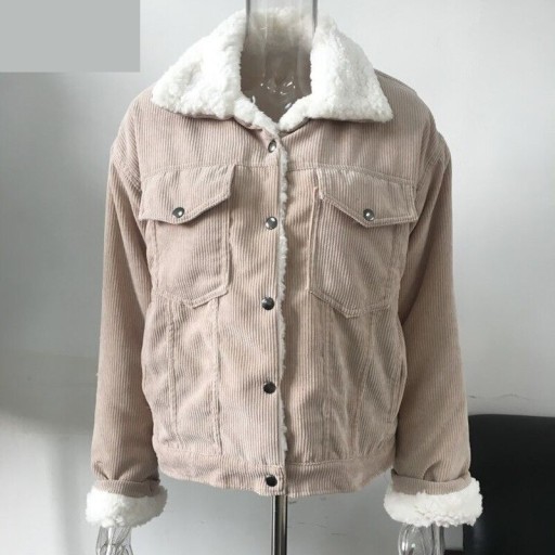 Women's Winter Jacket with Lining