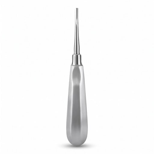 Zubný elevátor – extrakčná páka s rovným hrotom 2,5 mm, nerezová oceľ, strieborný, chirurgický zubný nástroj na extrakciu zubov