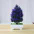 Bonsai de conifere artificiale violet închis