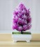 Bonsai de conifere artificiale violet