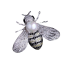Brošňa včela 2