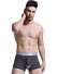 Bryan Herren-Boxershorts dunkelgrau