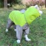 Bunda s kapucí pro psy zelená