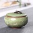 Ceainic din ceramica verde deschis