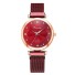 Ceas pentru femei R137 burgundy