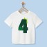 Chlapčenské narodeninové tričko B1538 N