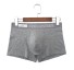 Chris Herren-Boxershorts hellgrau