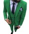 Costum pentru bărbați F334 verde