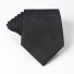 Cravată bărbătească T1203 65