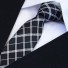 Cravată bărbătească T1208 2