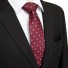 Cravată bărbătească T1236 13