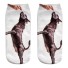 Damen-Socken mit Hund A667 7