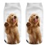 Damen-Socken mit Hund A667 9