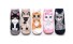 Damen-Socken mit Katzen – 5 Paar 2