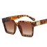 Damensonnenbrille E1343 leopard