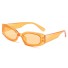 Damensonnenbrille E1356 orange