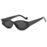 Damensonnenbrille E1501 3