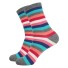 Dámské barevné ponožky Rebeca 1